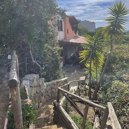 Tatil Evi Sonus Panoramic Seaside 350 Meters From The